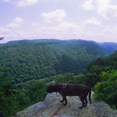 New River Gorge